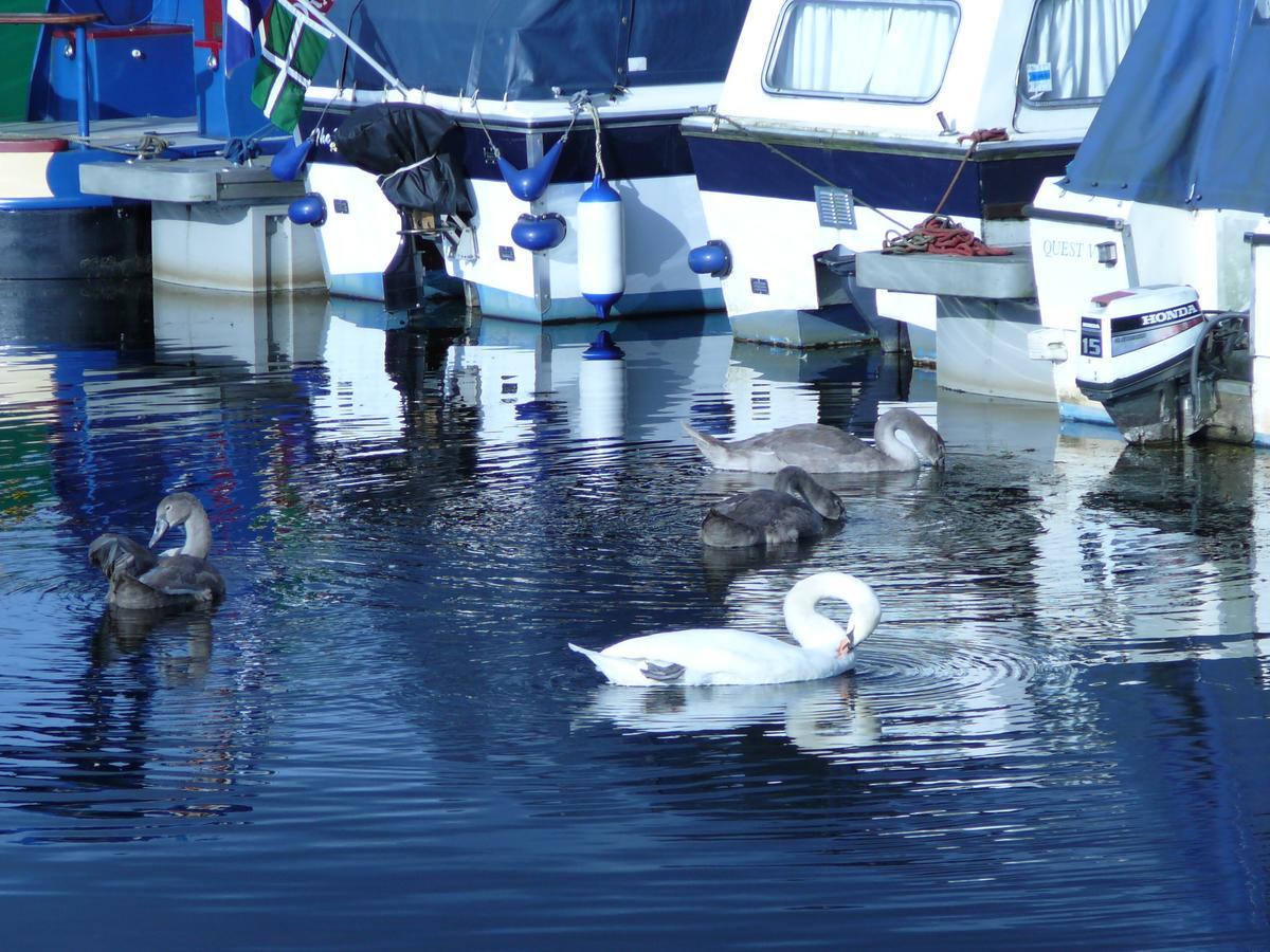 Готель The Boat House Kilsyth Екстер'єр фото